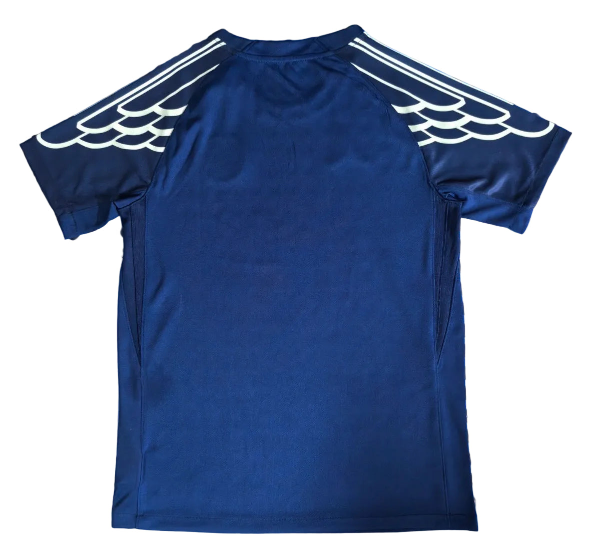 Maillot PSG 24/25